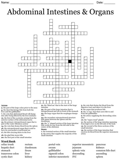 fossilised resin crossword clue|part of small intestine crossword.